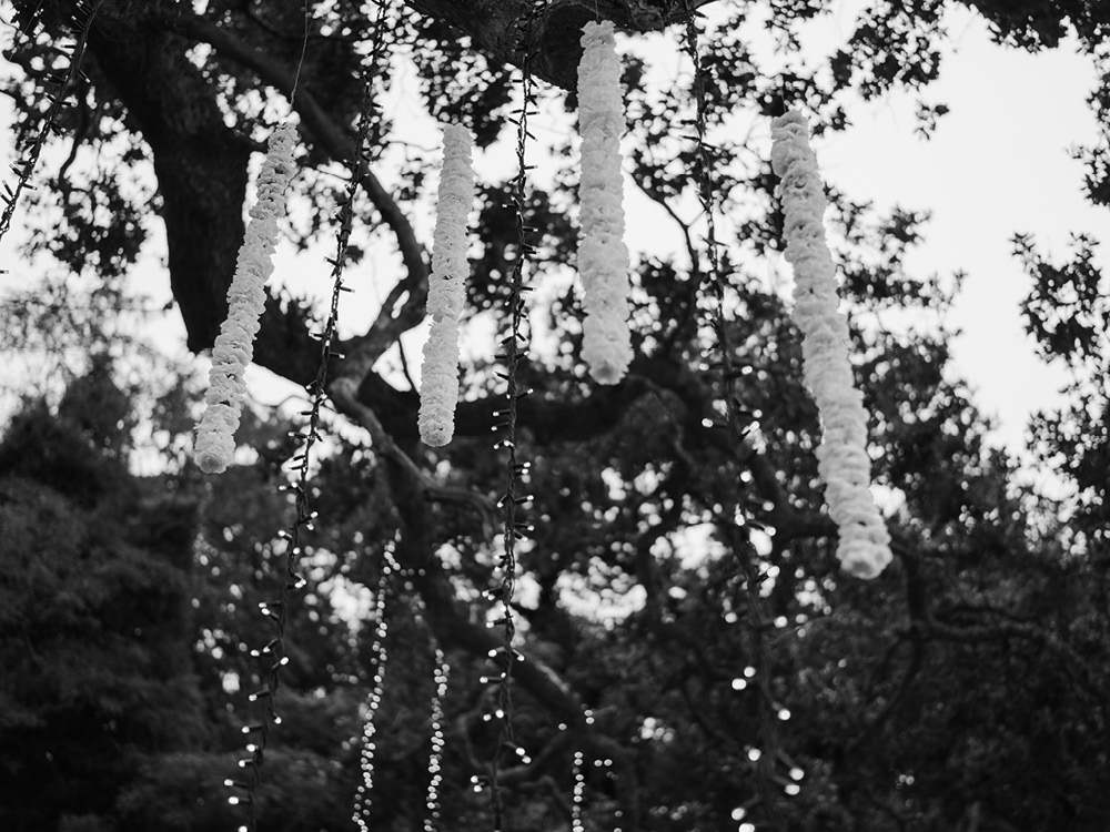 Lara & Alberto - Boda en Pazo de Cores boda galicia fotografo pazo cores voda83 - Lara & Alberto - Boda en Pazo de Cores